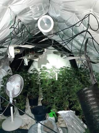 The cannabis operation discovered in the Hucknall house