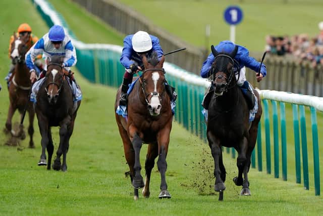 Military March beats Guineas rival Al Suhail at Newmarket last autumn. (Photo by Alan Crowhurst/Getty Images)