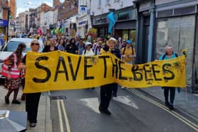 Extinction Rebellion will be holding a 'save the bees' protest in Hucknall next month. Photo: submitted