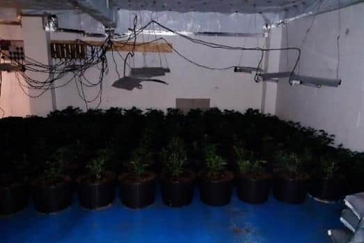 Police seized 199 cannabis plants found growing in a Hucknall industrial unit
