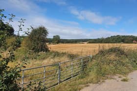 Proposals to remove Whyburn Farm from the draft local plan will be discussed and voted upon by the draft local plan steering group and council cabinet next month