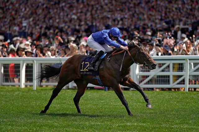 Pinatubo, red-hot favourite for the Qipco 2000 Guineas, storms home at Royal Ascot last season. (Photo by Alan Crowhurst/Getty Images for Ascot Racecourse )