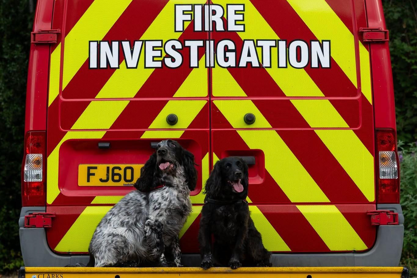 Nottinghamshire fire investigation pups named top dogs at prestigious award ceremony