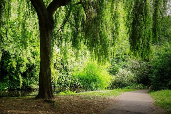 Mental health charity Mind says regular access to green spaces helps improve people's moods and reduces stress
