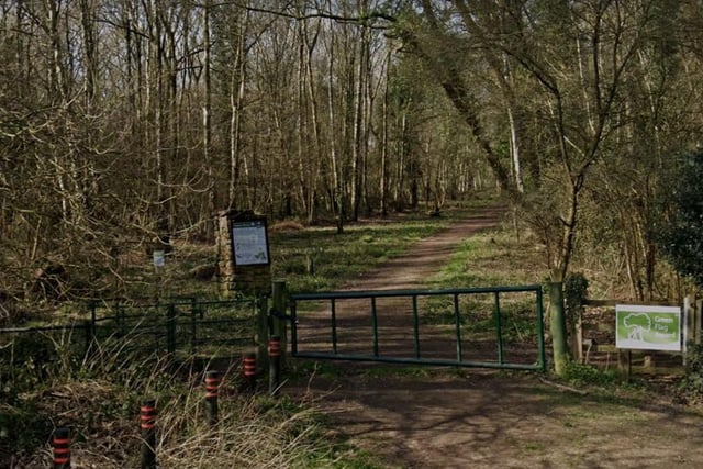 Sellers Wood Nature Reserve, Bulwell