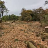 Residents of Marion Avenue and Alison Avenue in Hucknall have been left distraught after woodland at the end of their roads was cut down. Photo: Louise Smith