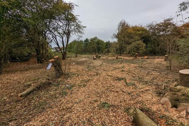 Residents of Marion Avenue and Alison Avenue in Hucknall have been left distraught after woodland at the end of their roads was cut down. Photo: Louise Smith