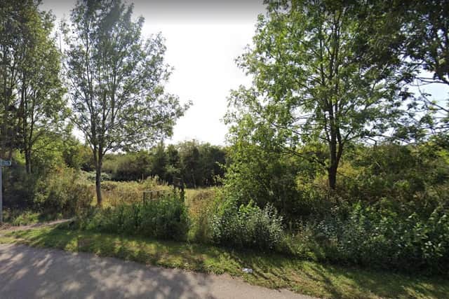 Amy Lee says the area is a haven for local wildlife and wildflowers. Photo: Google