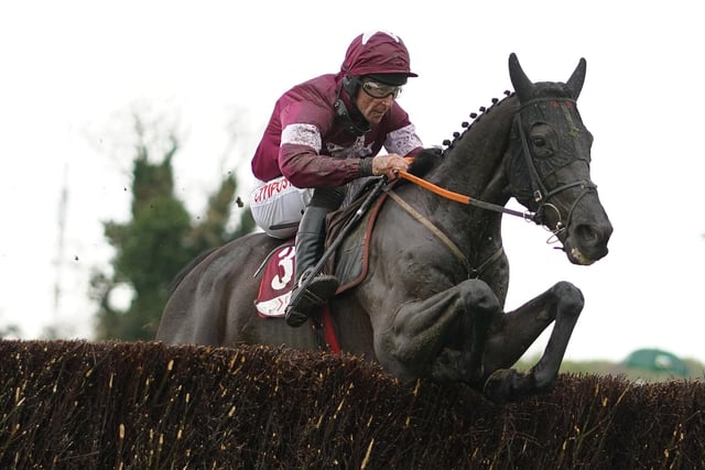 One of several runners for crack Irish trainer Gordon Elliott and powerhouse owners Gigginstown Stud, run by Michael O'Leary of Ryanair fame. Once a top-class prospect, his form regressed after finishing fifth in the 2020 Cheltenham Gold Cup. But he bounced back when spoiling Tiger Roll's retirement party at the Cheltenham Festival, jumping better than he has ever done. Very much the class horse of the contest, with a brilliant young jockey (Jack Kennedy) in the plate.