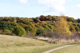 People can sign up now to plant a tree at Bestwood Country Park for The Queen's Platinum Jubilee