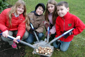 Pupils from Croft Prim school Sutton planted bulbs on Sutton Law. From the left - Charley Hallam, Liam Best, Natalie Hodgkinson and Michael Steel. 2007.