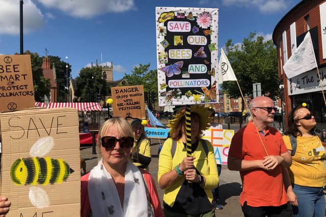 Campaigners are concerned about the number of bees being killed by dangerous pesticides. Photo: Extinction Rebellion