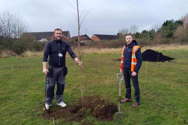 Coun Will Bostock and Paul Crawford, place and regeneration manager at the council, plant one of 1,000 trees the council is planting in Ashfield this year