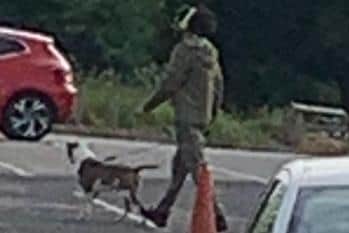 Police want to speak to this dog owner after an incident in Bulwell. Photo: Nottinghamshire Police