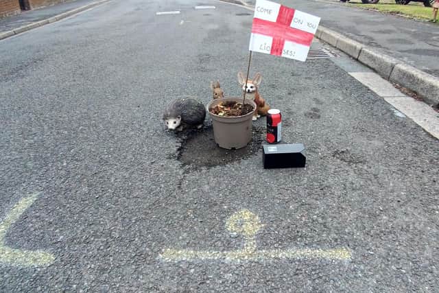Pothole was delighted to cheer on the Lionesses to victory. Photo: Lucy Mole