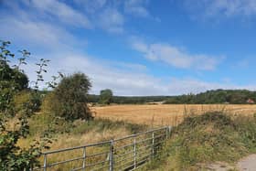 Campaigners want to stop proposals to build 3,000 new homes on Whyburn Farm