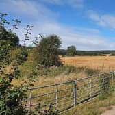 Ashfield Council shelved its plans to build 3,000 houses on Whyburn Farm after a public outcry. (Photo by: Google Maps)