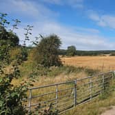 Jemma Chambers wants the council to work with her and other campaigners to help save Whyburn Farm greenbelt from having 3,000 houses built on it