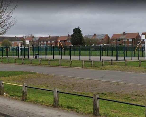 The BMX pump track and multi-use games area at Nabbs Lane are among the areas the council is proposing to ban dogs from. Photo: Google