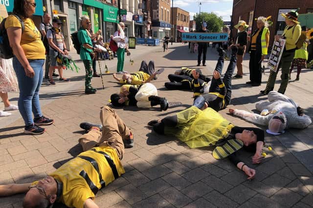 Protestors dressed as bees 'died' on the street to illustrate the effect of pesticides. Photo: Extinction Rebellion
