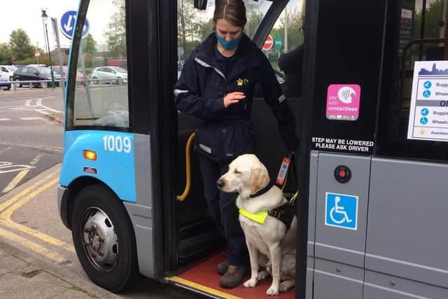 Trainee guide dogs and their trainers have been given free travel passes
