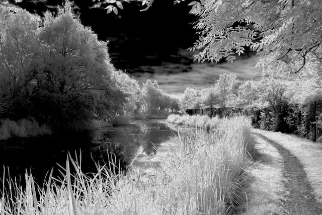 ​Here’s something eye-catching from David Instone, an infra-red shot of the Erewash canal at Langley Mill.
