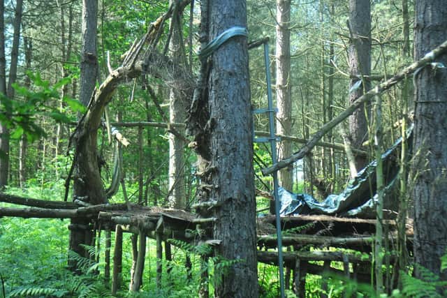 The treehouse 'camp' as it appears now, hidden in Sherwood Forest. A surce has claimed it has been used to live in by a large group of people now living in the woodland. Police have refuted the claims.