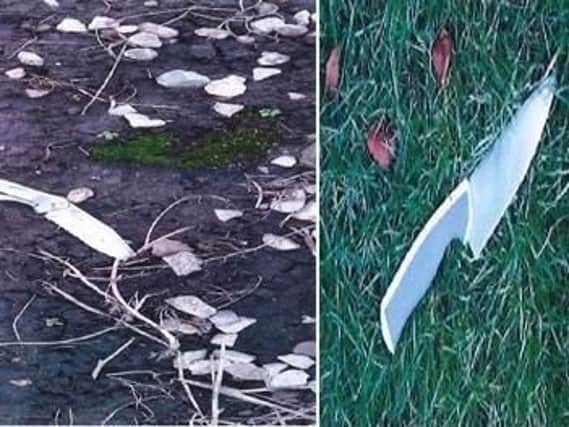 The two knives found discarded at the scene. Picture supplied by Nottinghamshire Police.