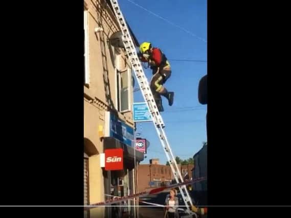 Firefighters had to climb to retch the pet.