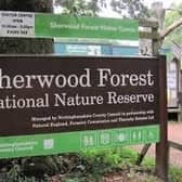 Sherwood Forest visitors centre is ideal for all of the family - and it's free!