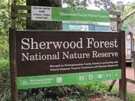 Sherwood Forest visitors centre is ideal for all of the family - and it's free!