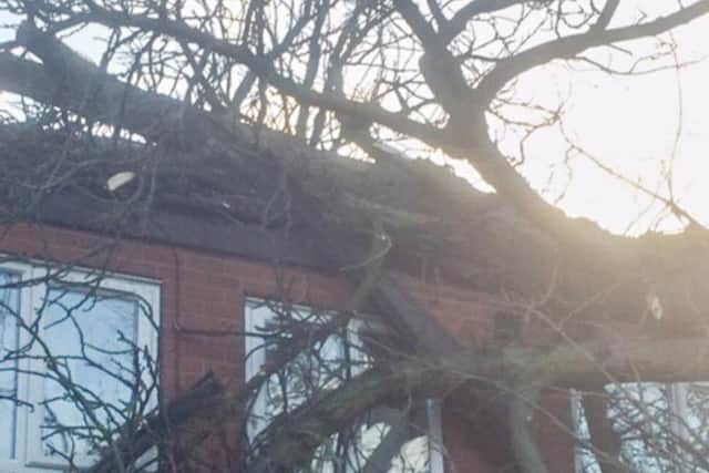 It has caused around 20,000 worth of damage