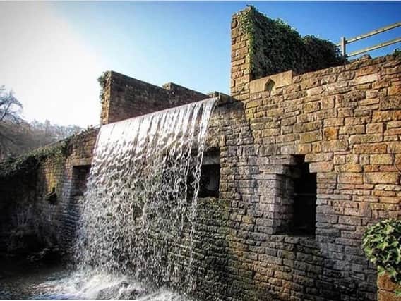 This beautiful picture of Newstead Abbey's waterfall was taken by Instagram user @ayup_me_duck