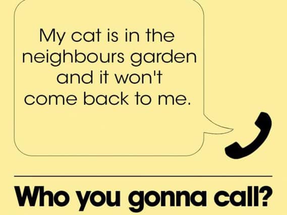 Caller calls police over cat.