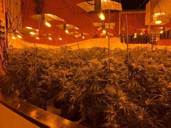 Signs to spot a cannabis farm