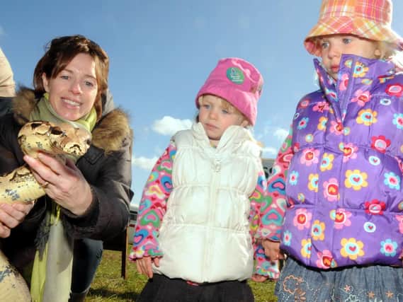 2010: Amelia and Sophie Hall look on in amazement as Carol Hall picks up Melisa the boa constrictor at the Moorgreen shows wildlife display.