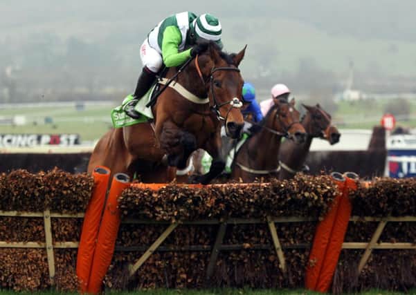 Rock on Ruby ridden by Noel Fehily jumps the last on their way to victory in the Stan James Champion Hurdle Challenge Trophy during day one of the 2012 Cheltenham Fesitval at Cheltenham Racecourse, Gloucestershire. PRESS ASSOCIATION Photo. Picture date: Tuesday March 13, 2012. See PA story RACING Cheltenham. Photo credit should read: David Davies/PA Wire. RESTRICTIONS: Use subject to restrictions. Editorial use only including book use. No commercial use. Call +44 (0)1158 447447 for further information.