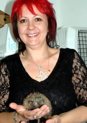 Wendy Radford of Cedar Wildlife Sanctuary in Kirkby with Frank the rescued baby hedgehog.