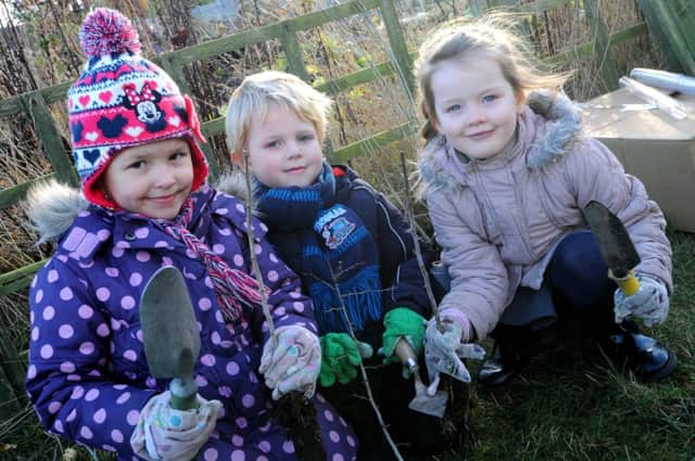Children from John T. Rice Infant School have come to the community allotments in Clipstone to plant trees. l-r Gracie Smith 4, Corey Lyons 4 and Carli-May Bonser 5.