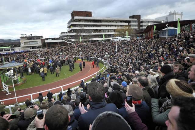 FESTIVAL FEVER -- the crowds at Cheltenham welcome HURRICANE FLY back to the winner's enclosure after he had won last year's Champion Hurdle (PHOTO BY: Tim Ireland/PA Wire)