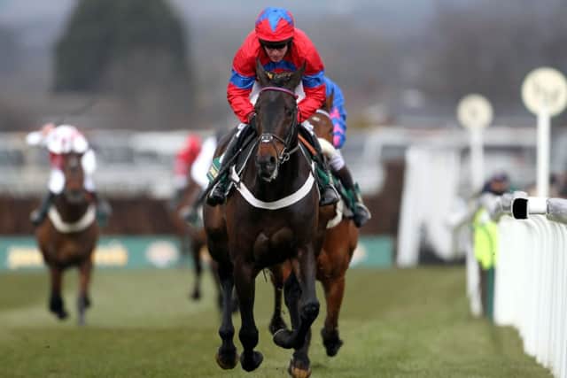 ABSENT FRIEND -- the reigning champion chaser SPRINTER SACRE will be sadly missed at thr 2014 Festival after a heart scare (PHOTO BY: David Davies/PA Wire)