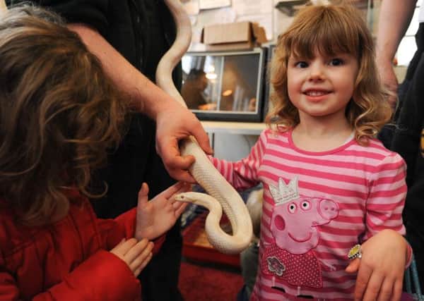 White Post Farm visits Hucknall Library with small animals and reptiles and invite children to come along to pet them. Pictured is Charlotte Cooling 5.