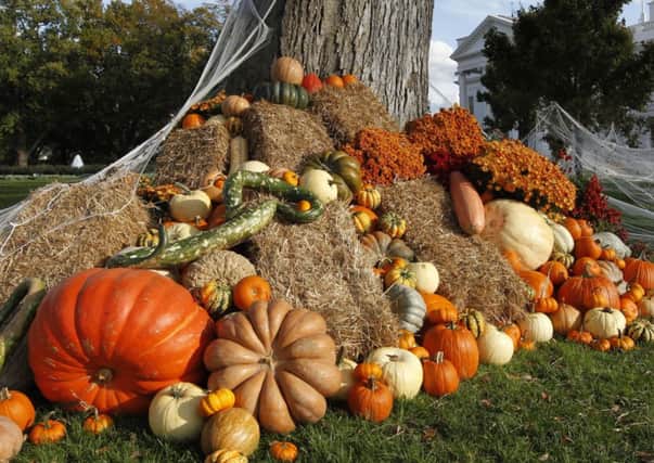 Pumpkins, gourds and other seasonal decorations adorn the driveway on the North Lawn of the White House in Washington, on Halloween, Monday, Oct. 31, 2011.  (AP Photo/J. Scott Applewhite)