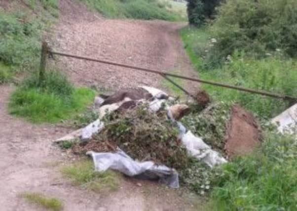 The dead horse discovered at Langwith was partly covered by rubbish and foliage.