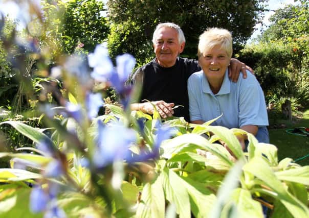 Linda and Ray Heywood are running a plant nursery Echium World from their home in Edwinstowe. nmac-14-07-14 echium ce 1