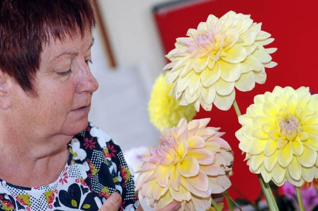 Sue Thornton, the chairman of the Farnsfield and District Horticultural Society with one of the dahlia exhibits which was judged exquisite.