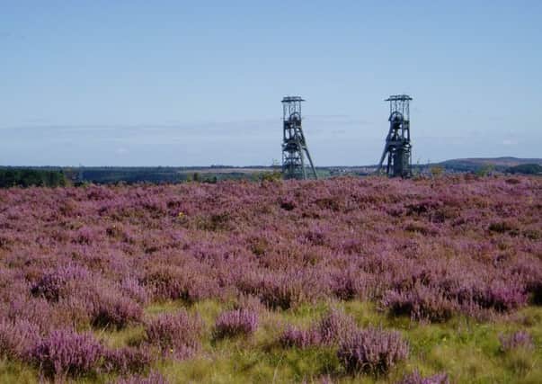 Picture of Vicar water Country Park off Mansfield Road, Clipstone, by Richard Gleed-OwenI think I just caught the heather bloom just before it started to fade - I must mark next year's calendar to remind me to take the same view earlier in August with my better camera too.Regards, RGO