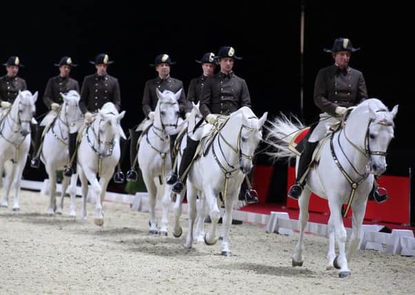 The Spanish Riding School of Vienna at Sheffield Arena
