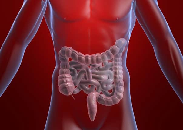 A Generic Photo of an illustration showing the location of the bowel in a human. See PA Feature TOPICAL Bowel Cancer. Picture credit should read: PA Photo/thinkstockphotos. WARNING: This picture must only be used to accompany PA Feature TOPICAL Bowel Cancer.