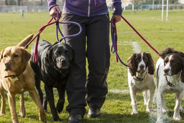 Dog owners are urged to take precautions